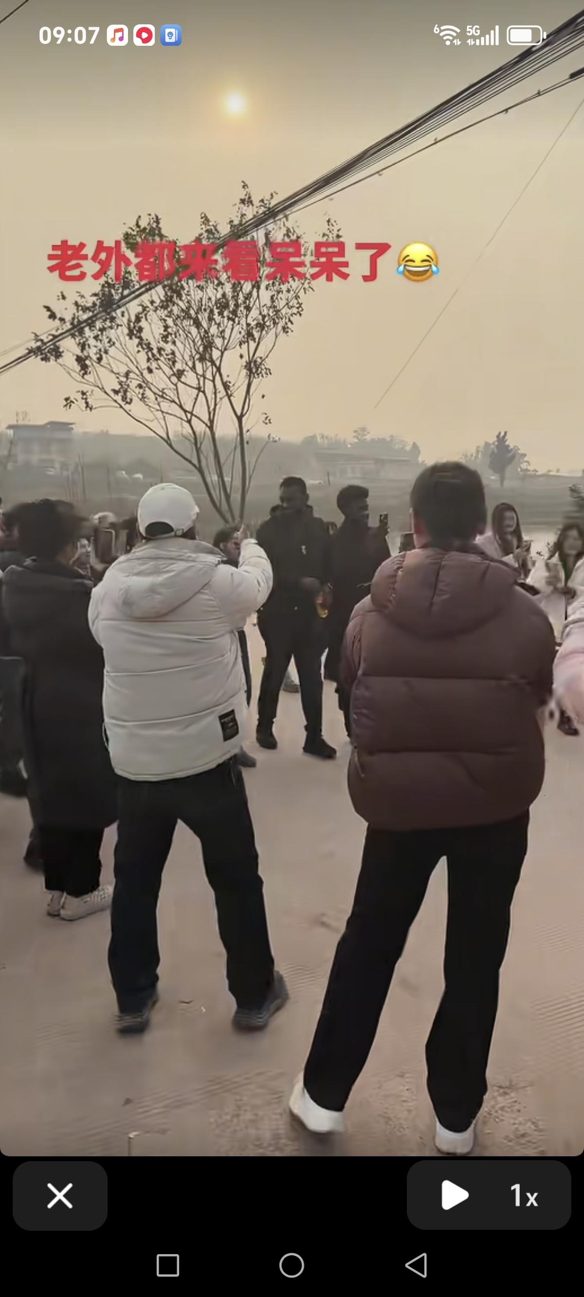 连老外都来看呆呆了，这个呆呆闯的这个祸可真不小。一条求助视频，开了一个国际玩笑。