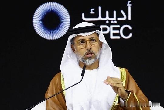 中东战火纷飞此际，阿联酋退出OPEC，是自救还是离群叛逆？阿联酋这次“退群”，本