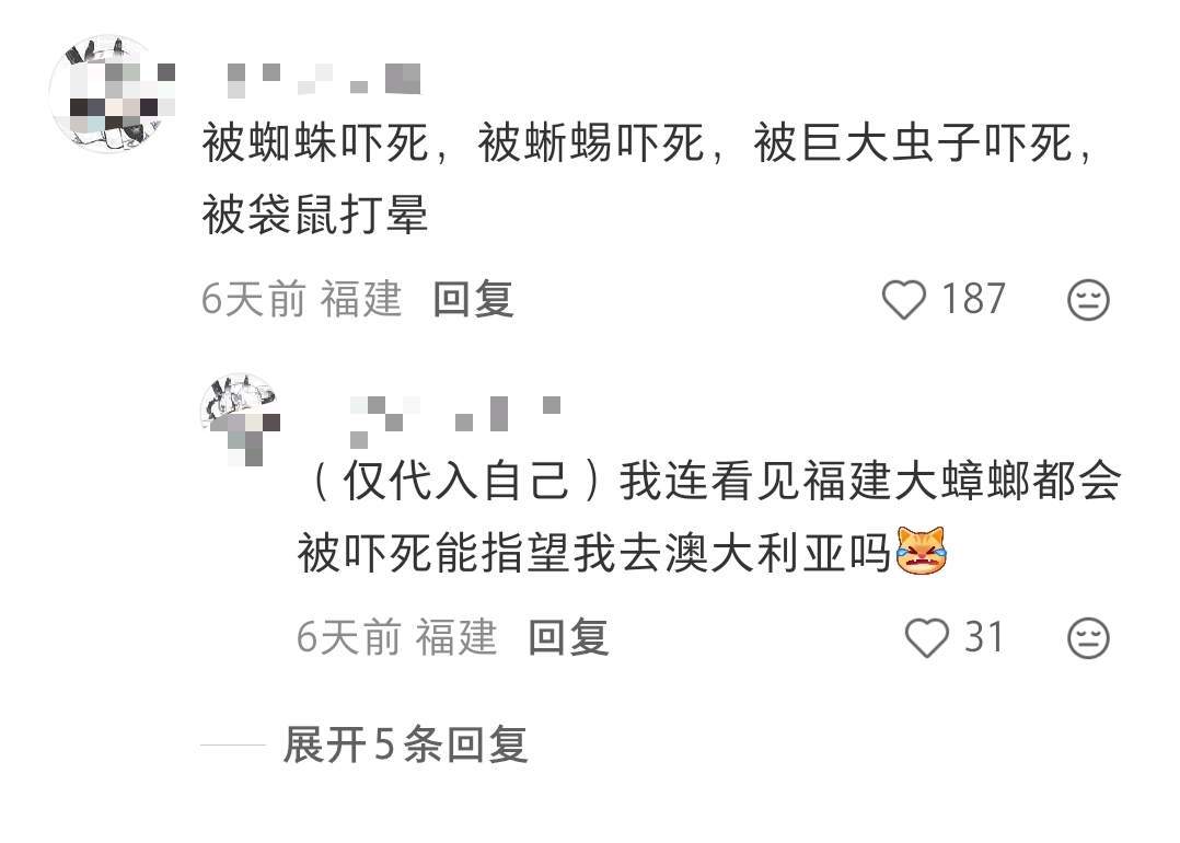 小说女主不往澳大利亚逃命的原因如上 