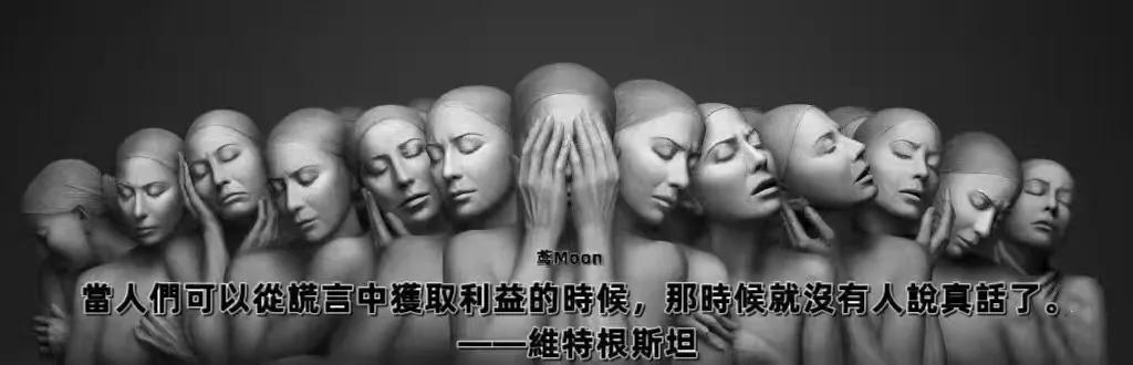 “当人们可以从谎言中获取利益的时候，那时就没有人说真话了！”—维特根斯坦

太深