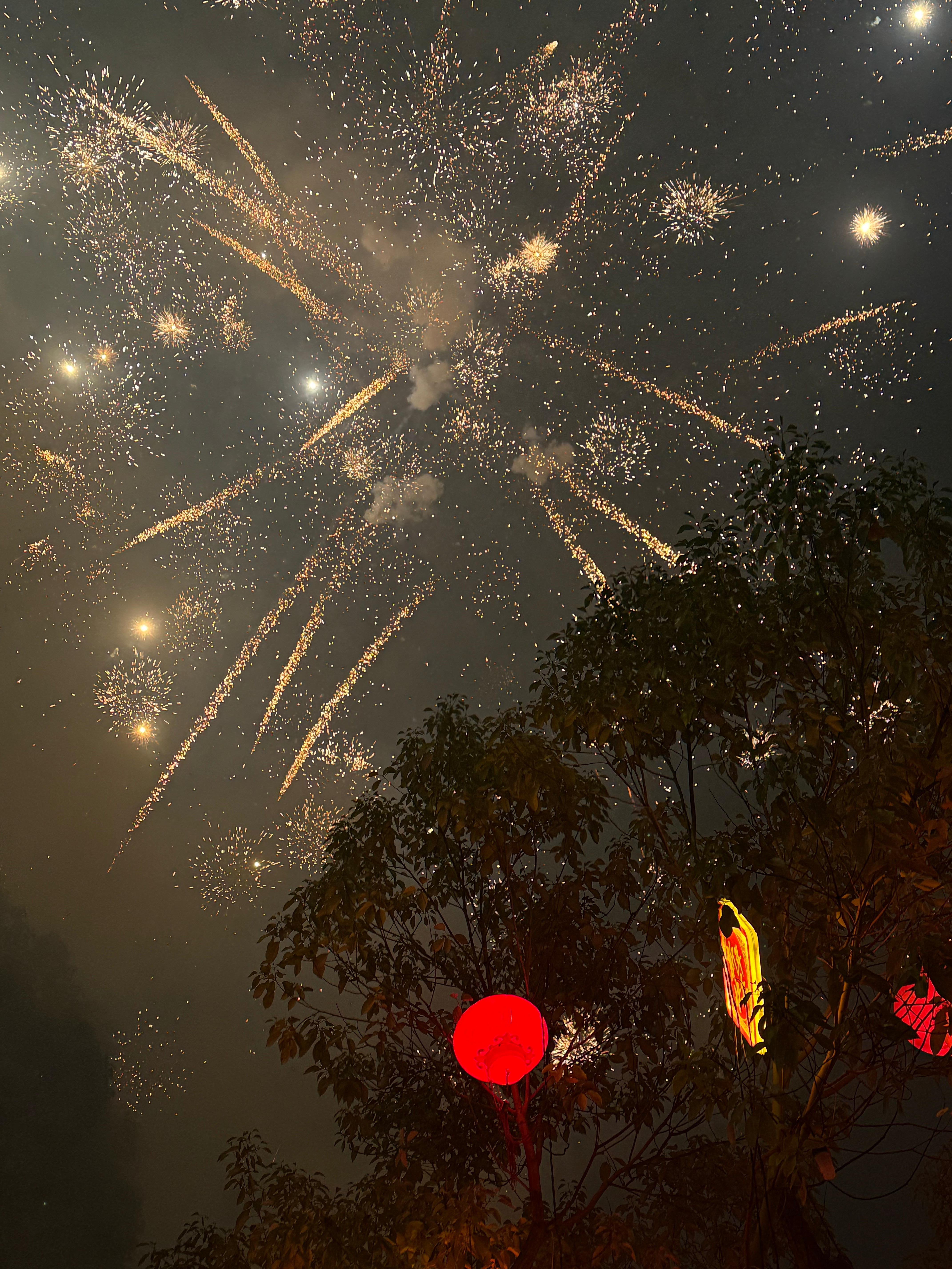 🎆沿途花会开，祝你也祝我。 