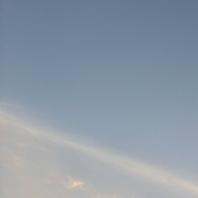 阳光信用[超话]‎阳光‎信用‍每日‎一善 本浩☀️极好 保持良好的互动，文明友善