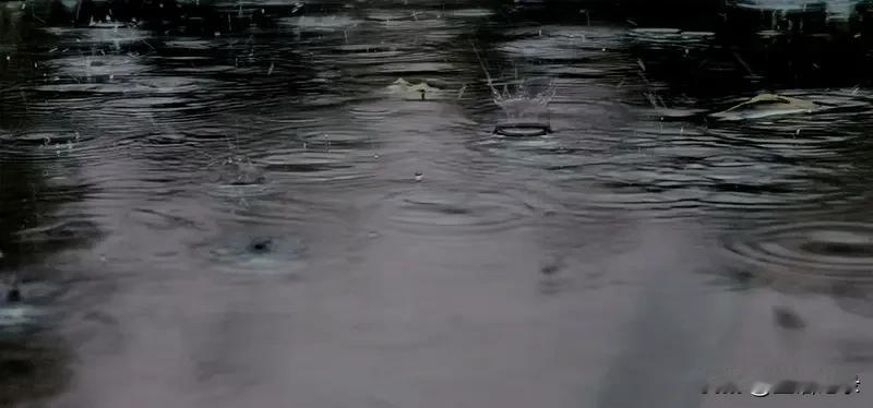 雨下个不停
天黑了
还不停住
雨好像在赶路似的
急急地下着
下得很密集
丝毫没有