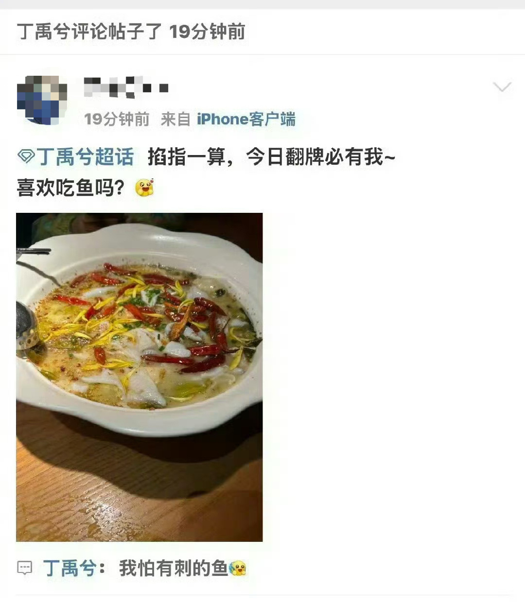 提纯 登上热搜 