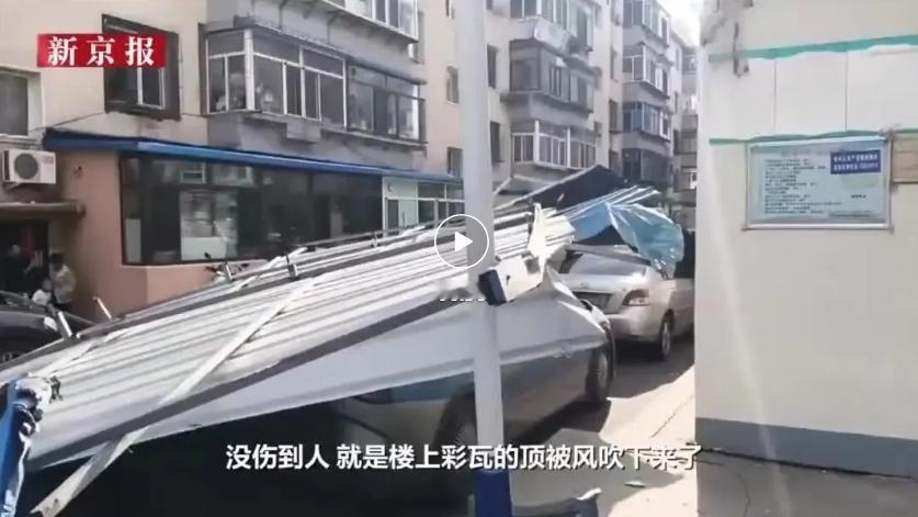 辽宁昨日大风过处，马路边树叶枝绿乎乎的！

昨天的大风太大了，人行走都困难，在街
