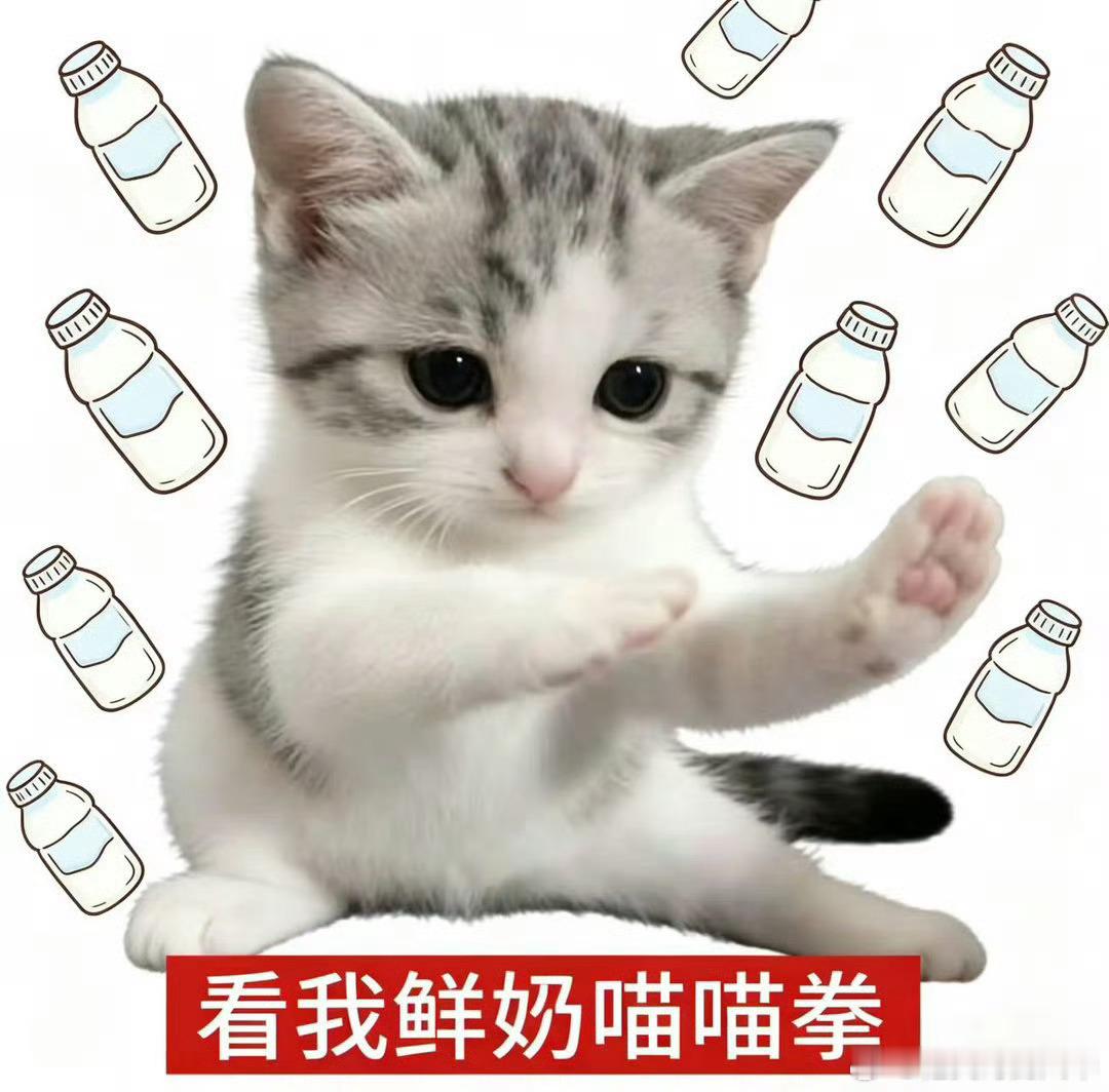 世界杯32强预测是鲜奶不是毒奶世界杯AI预测不如鲜奶靠谱 拒绝玄学毒奶！众位艺人