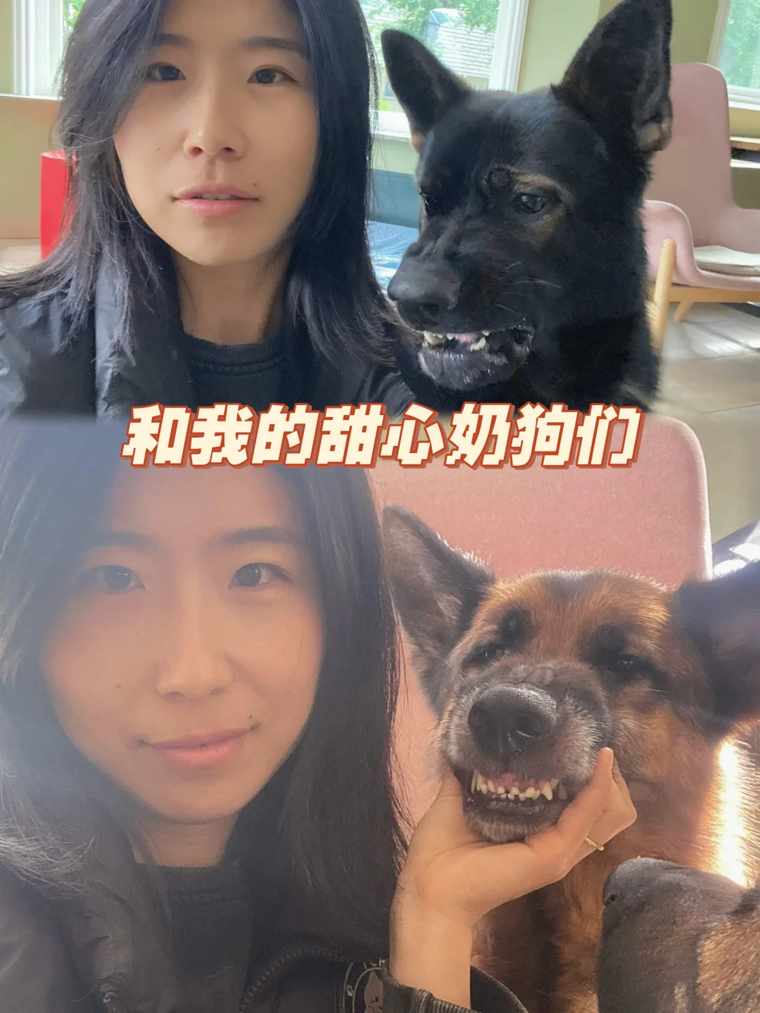 我和我的甜心小奶狗们