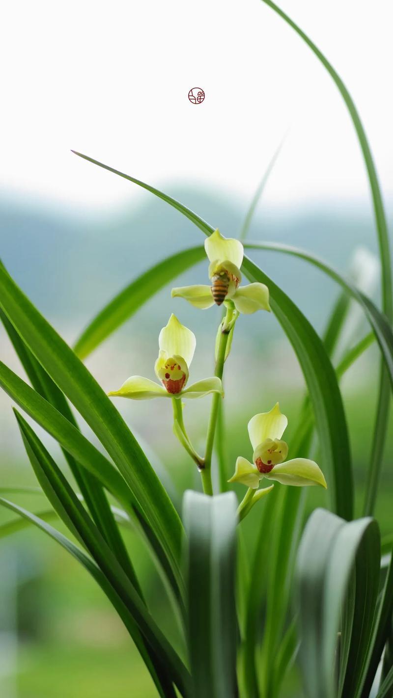 下联：上苍佑护积德人。