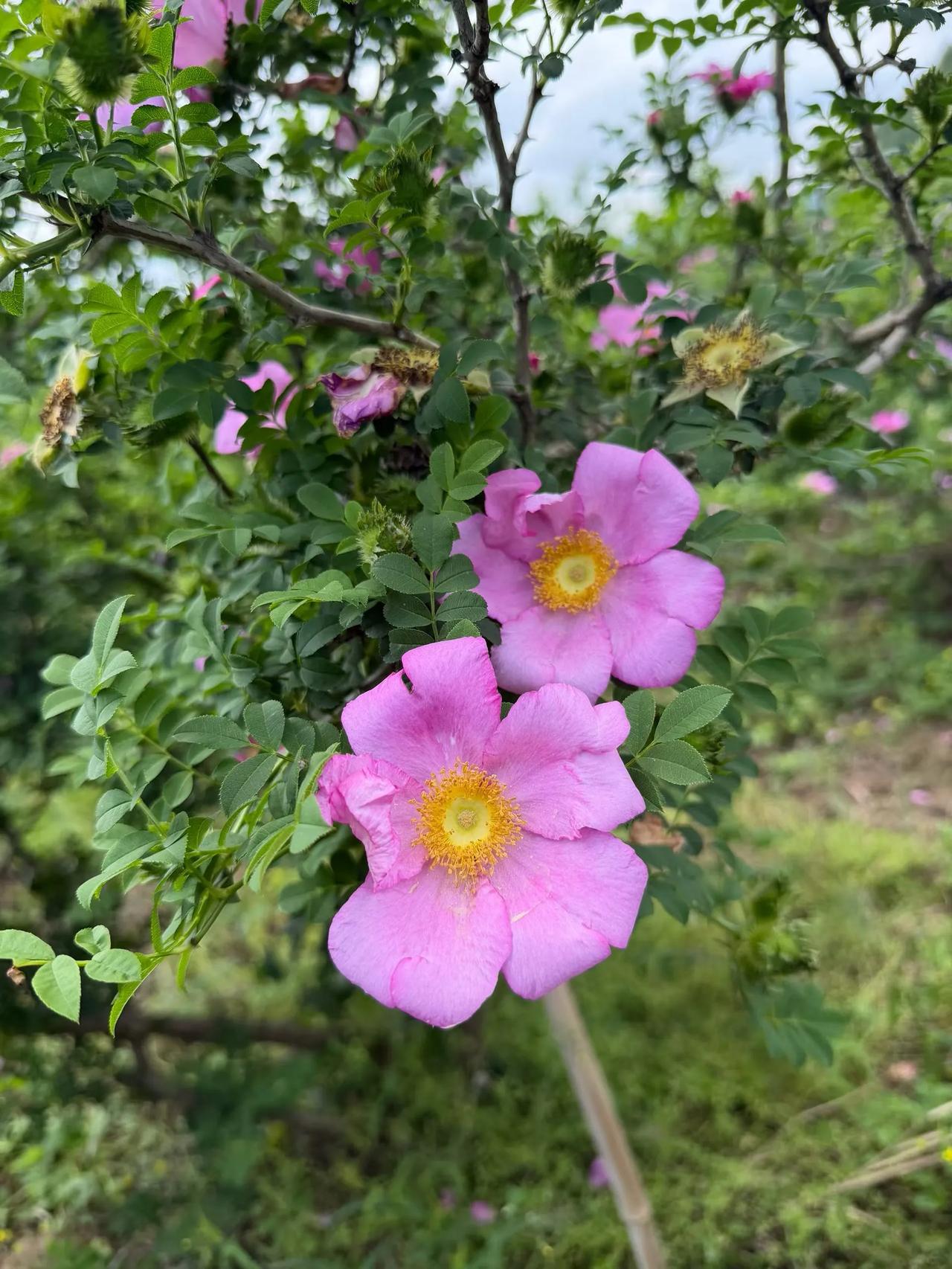 今天股市里最热的一句话是“要站在光里，但也不能光站在那里”更有网友说“更不能光着