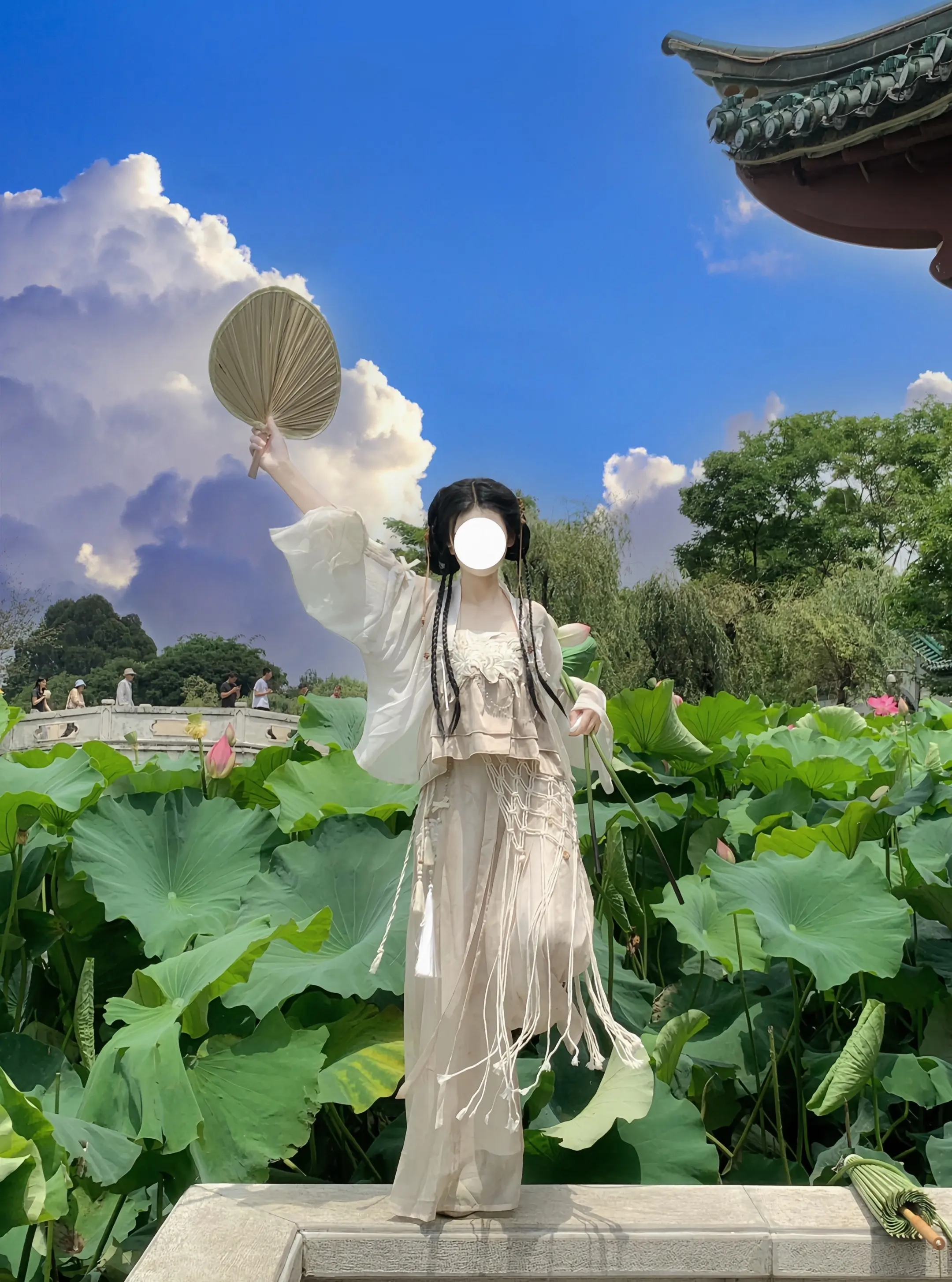 大荷叶，我来啦。