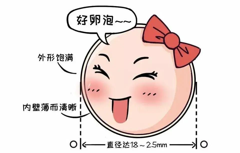 #健康真探社#【备孕女性如何提高卵子质量？】新生命的诞生来自于卵子和精子的相遇、