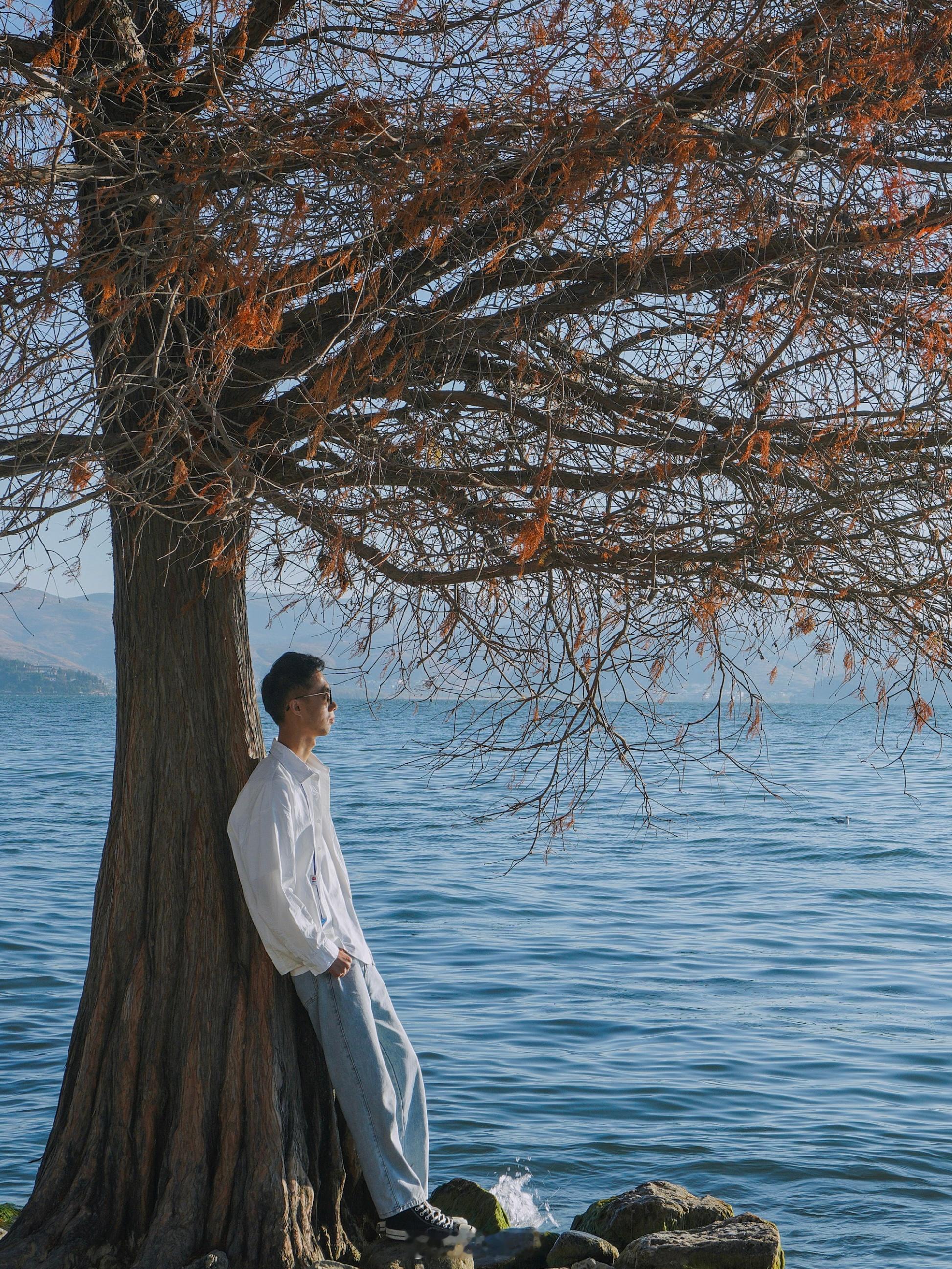 大理的浪漫 洱海占一半[抱一抱][抱一抱][抱一抱] ​​​