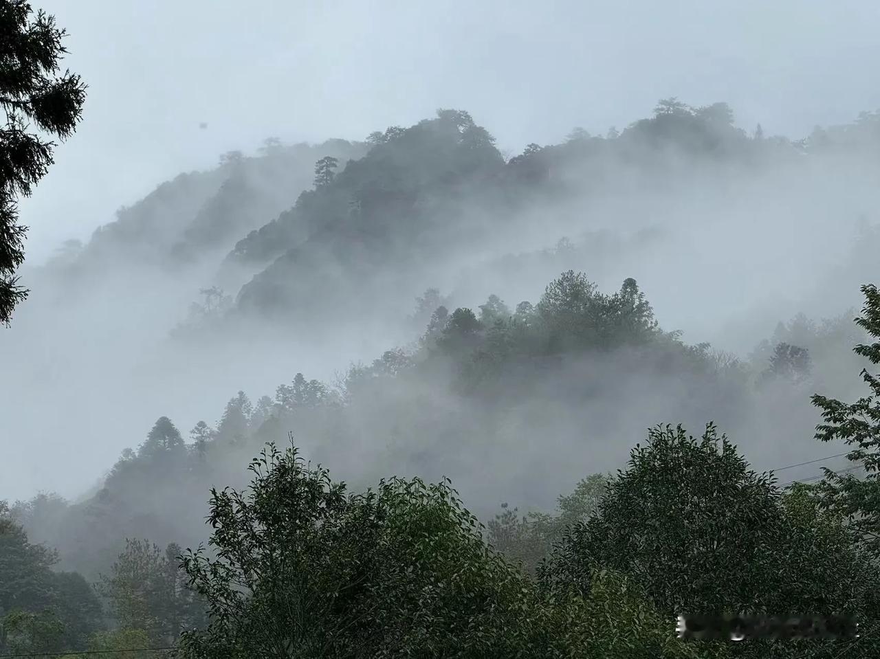 烟雨朦胧中的井冈山，宛如仙镜，好美！


#随手拍一张风景照#