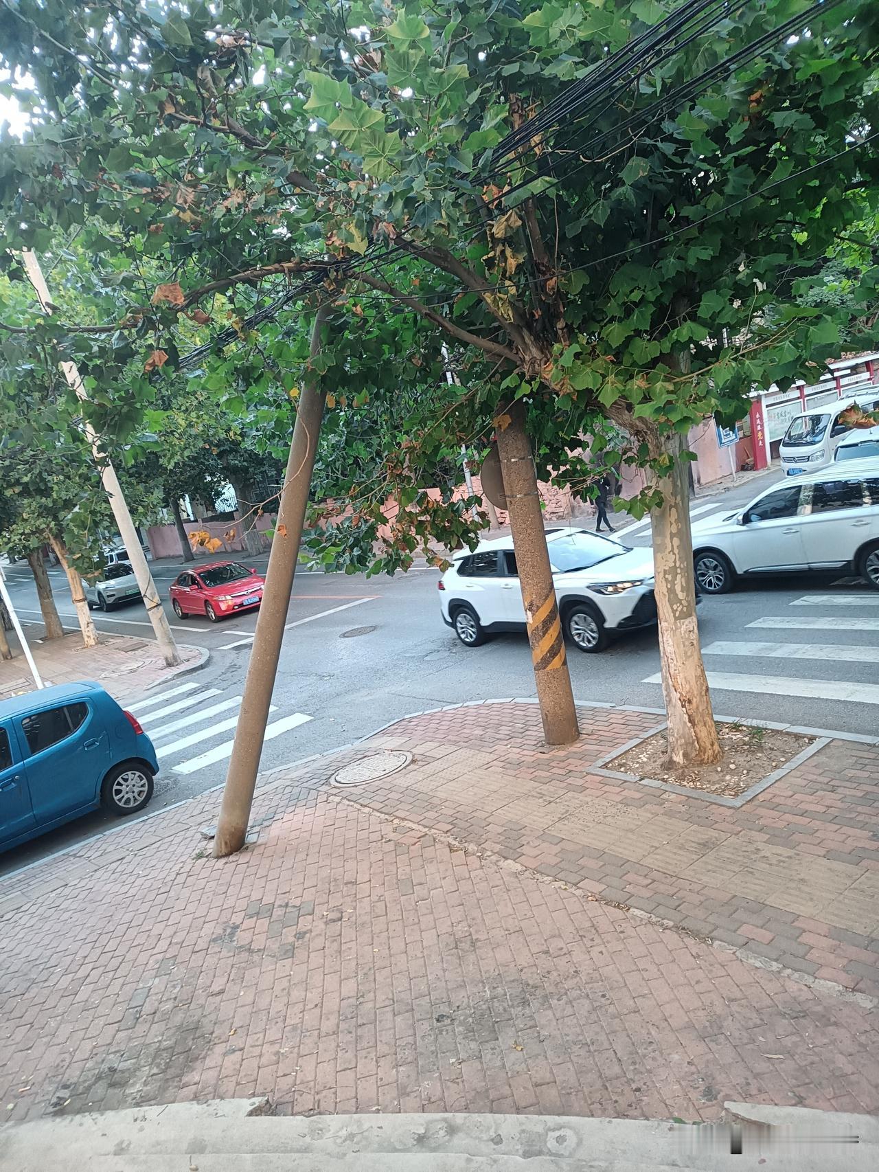 小区门前的路口，车来人往。大家行车多一份礼让，多留意路况，平安出行，这就是市井里