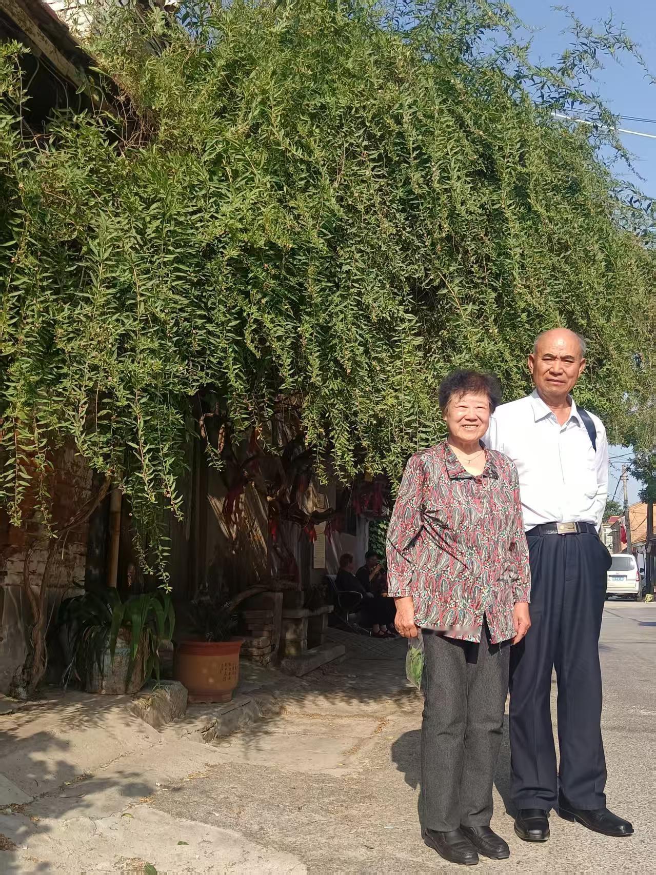 《枸杞千年蕴情缘》
一一记袁汉民夫妇的          枸杞科研道路
七律。黎