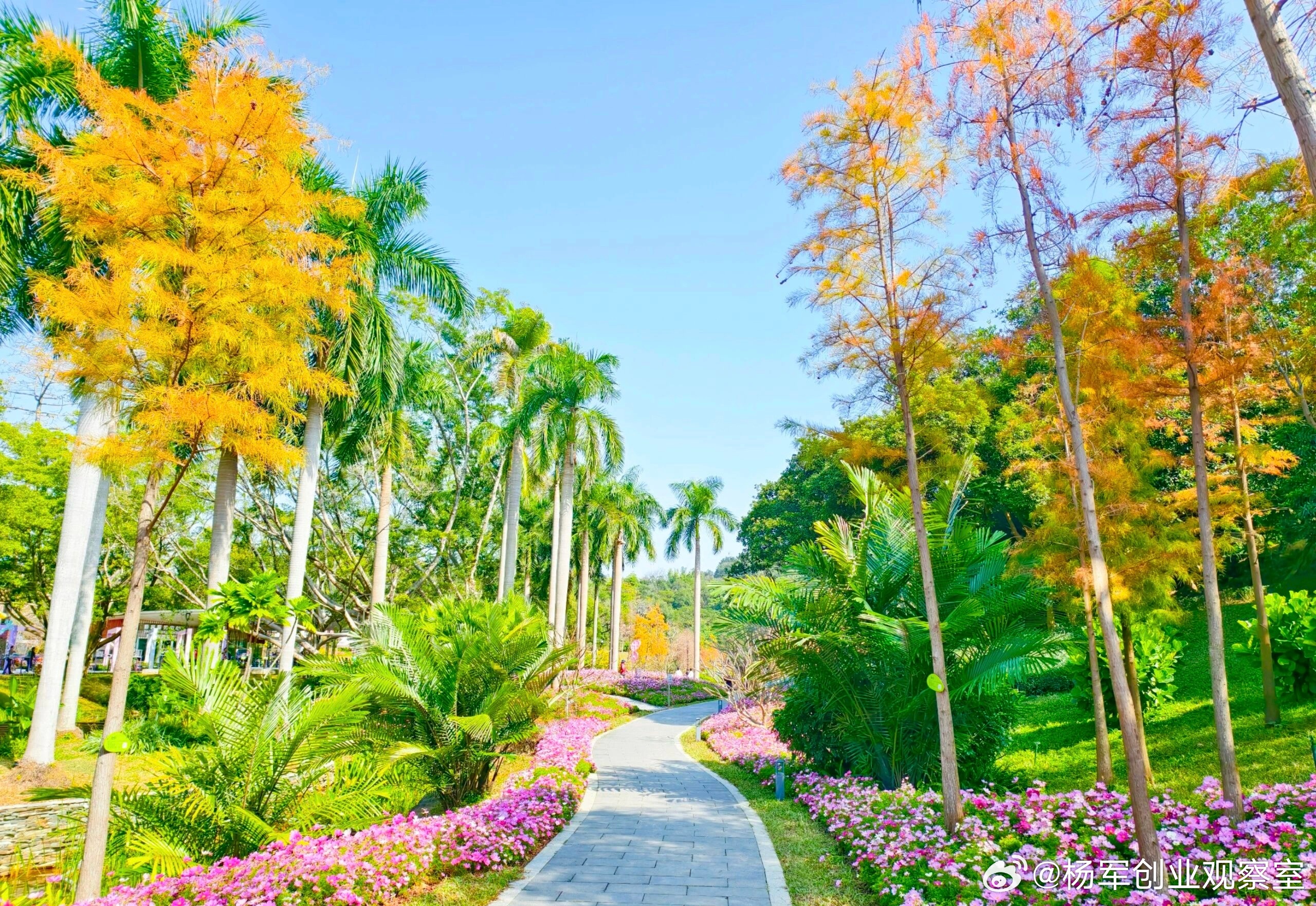 上游如何绑定下游，从生意伙伴变事业合伙人？今天用两个案例，说透“厂商一体化”的动