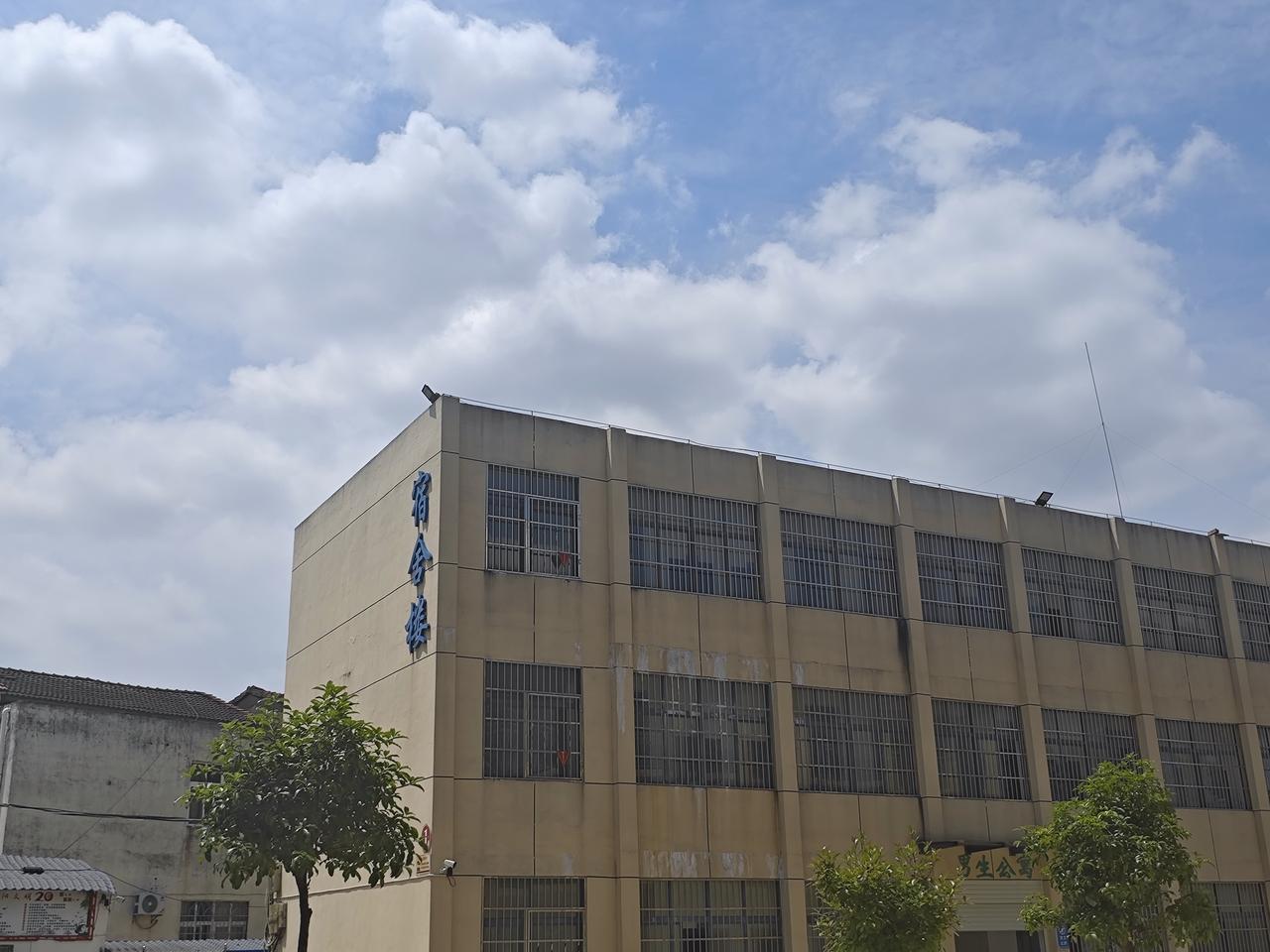 教师惩戒顽固学生需依规分级处置，以引导修正为核心，避免体罚与侮辱，同时强化家校协
