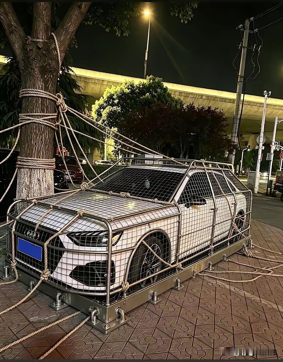 车主是不是过于紧张了啊，再怎么样台风也不可能把汽车吹跑吧