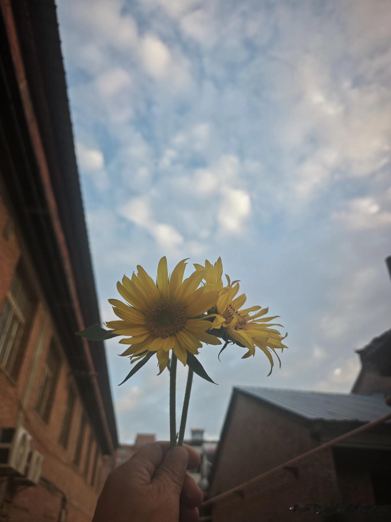 分享一张天气照片