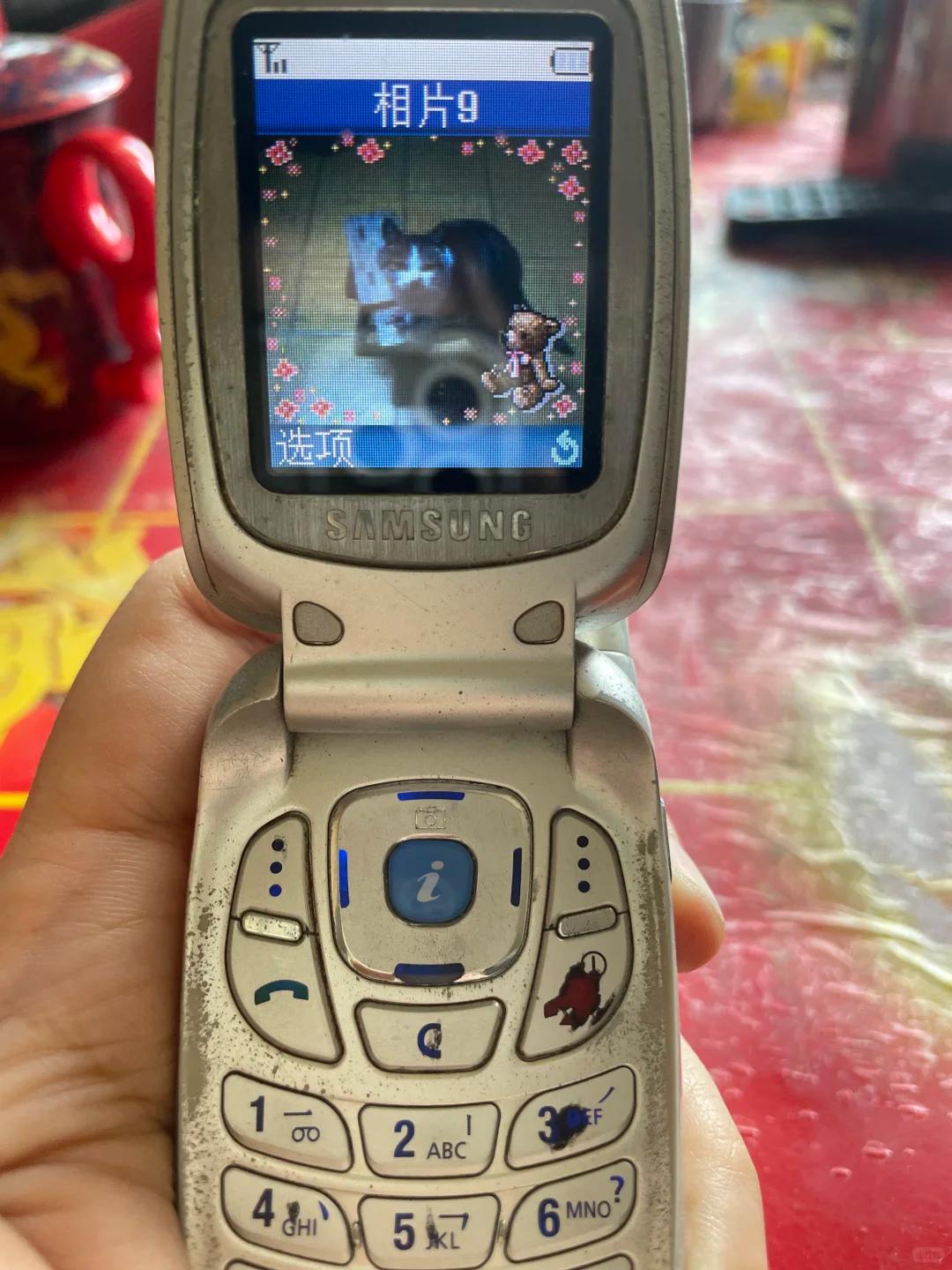 这相片还能想办法导出来吗？2009年的图片