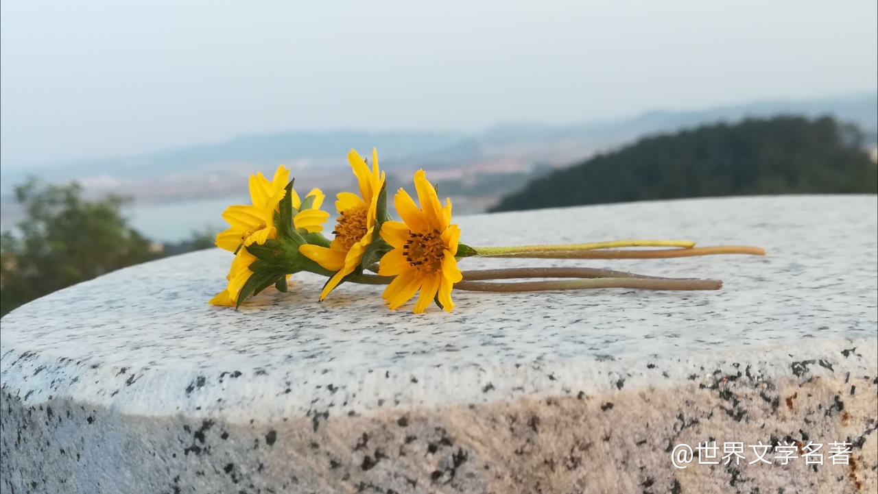 闪光的东西并不都是金子，动听的语言并不都是好话。——莎士比亚 