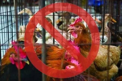 尽量不要在网上买的10样东西
1. 活禽 
2. 药品 
3. 内衣裤 
4. 