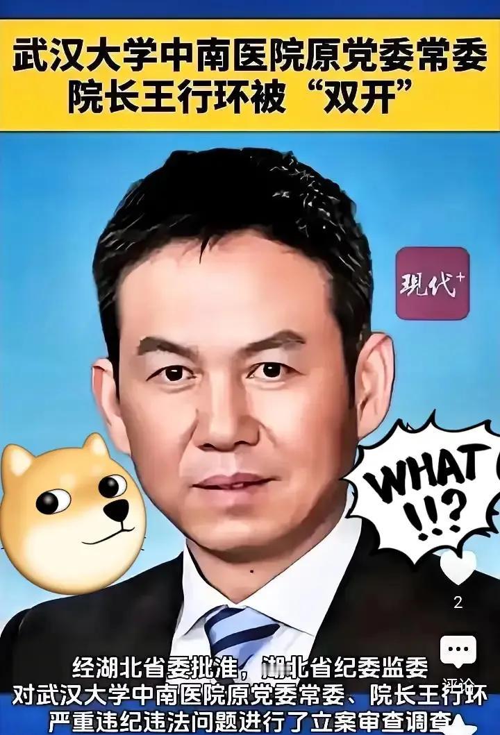 中南医院王行环院长落马了，这个院长给影响最大的不是医院，是医院女医生、女护士的老