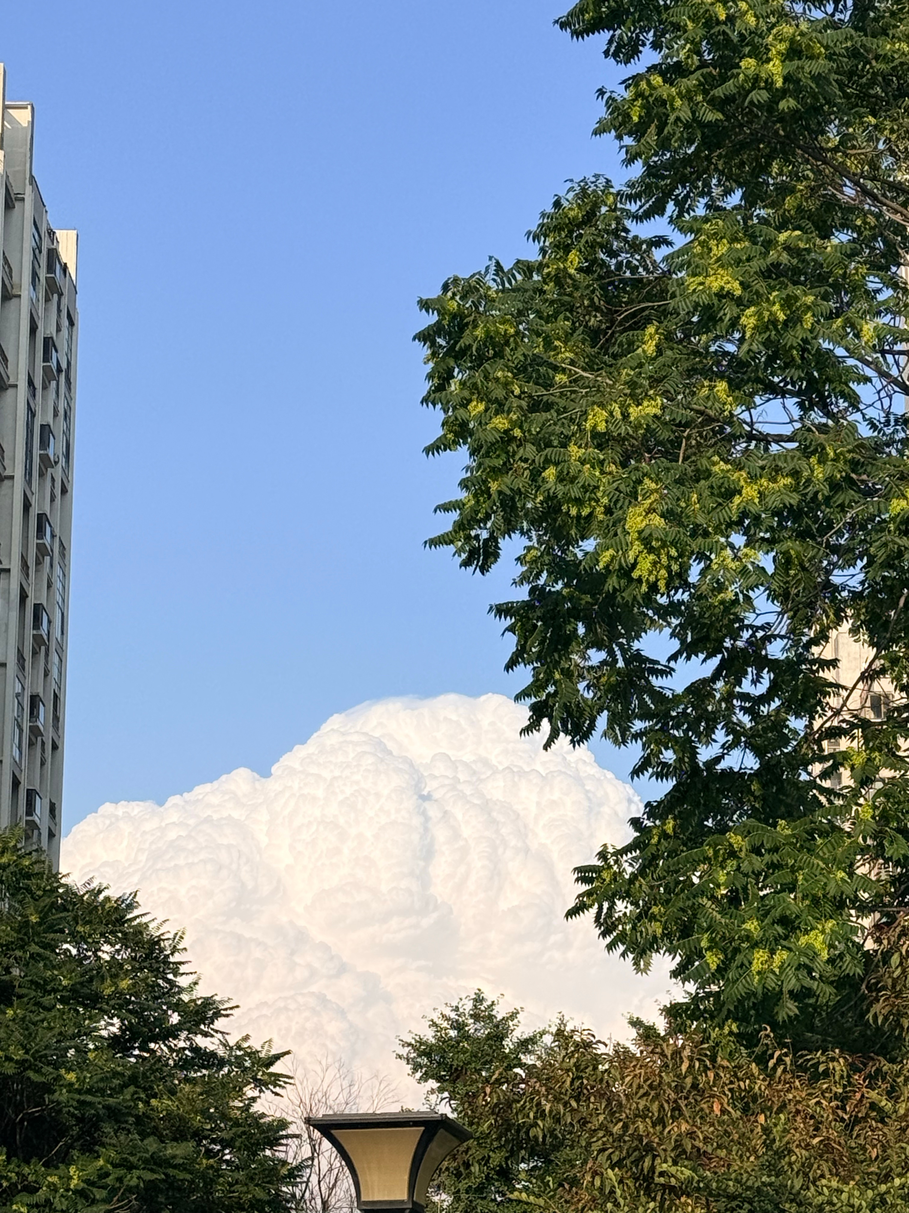 好像冰淇淋。🍦 