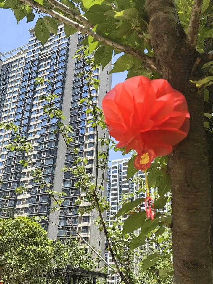 五一节小区有人结婚，婚车经过的地方，都被红色的标识所标记。所有的井盖都贴上了正方