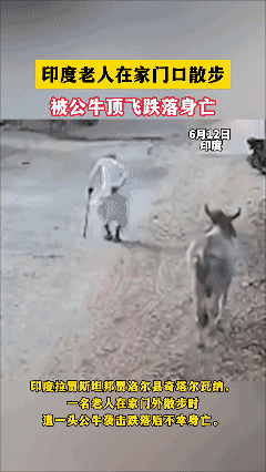 印度老人在家门口散步
被公牛顶飞跌落身亡！[泣不成声]