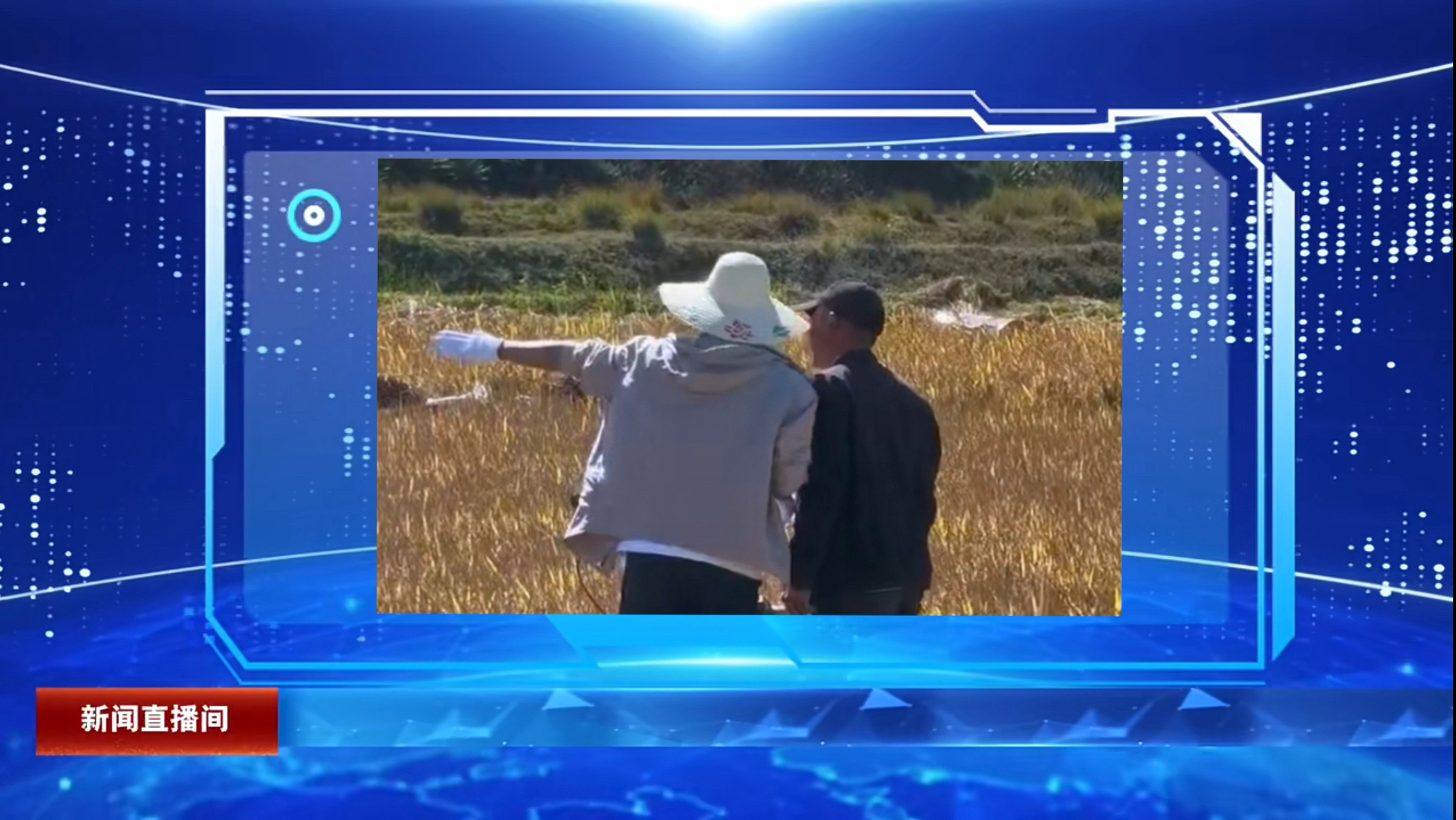 cctv将为您现场报道： ​​​
