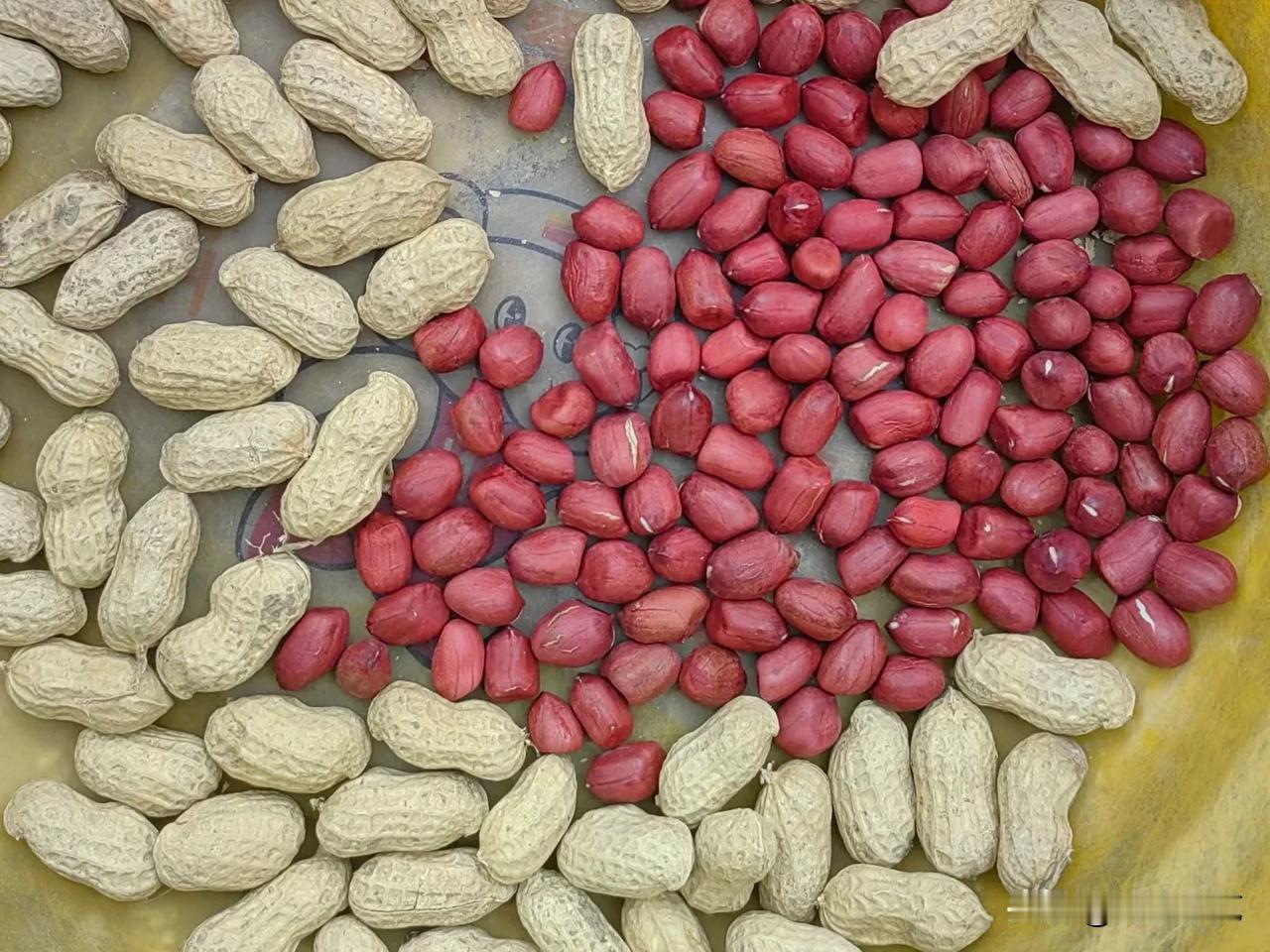 308白沙通货米收购4.2-4.25左右（以出成论价，个别好货略高），通果收3.