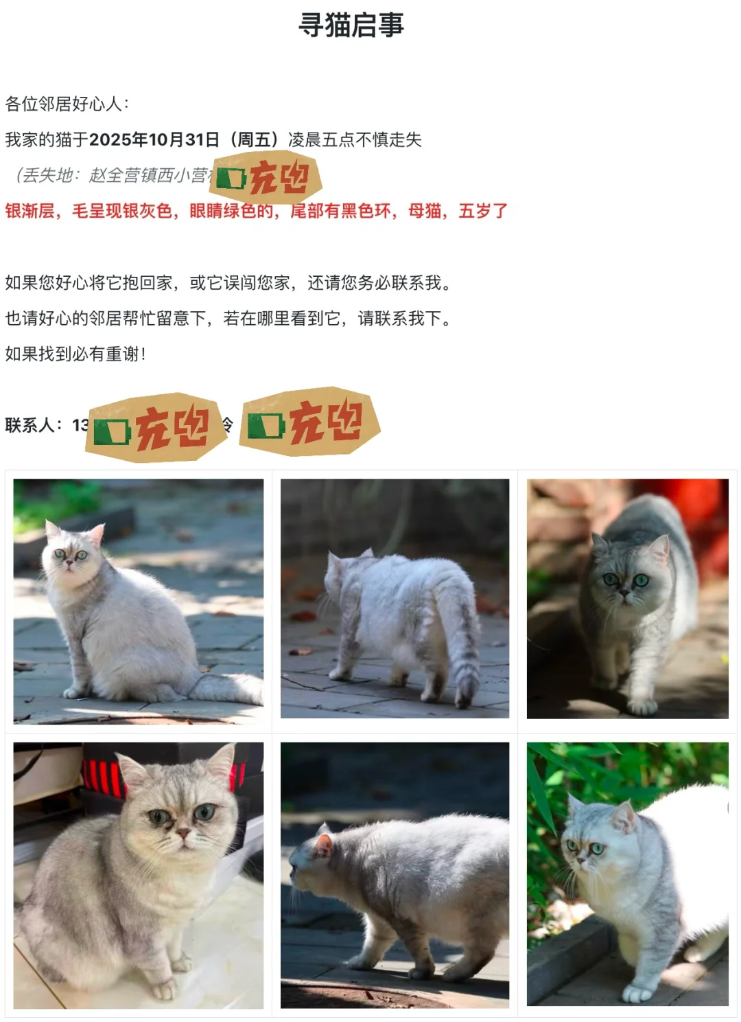 我家猫走丢了，还能找回么？