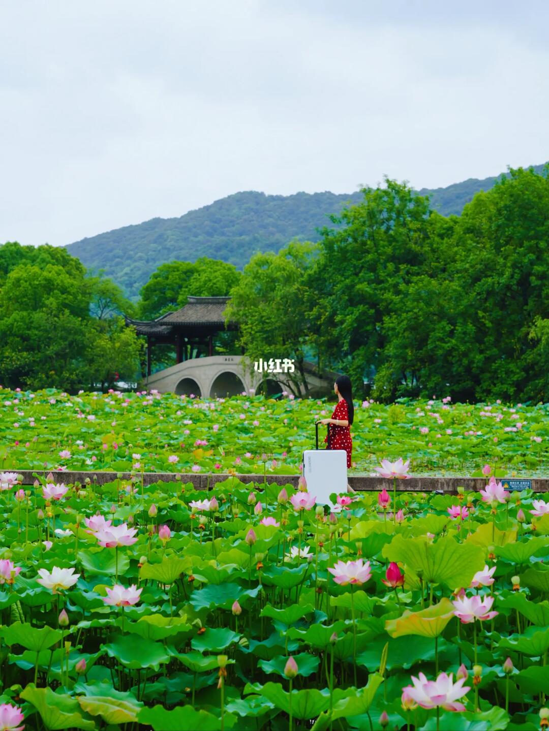 暑假游杭州‼️你要看的五天四晚亲子游路线