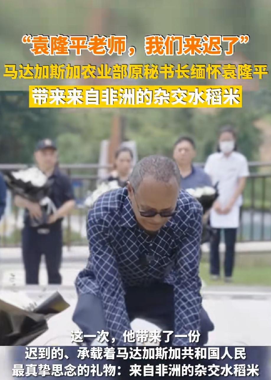 马达加斯加农业部的前官员，专门带着他们当地产的水稻，一碗大米，来感谢袁隆平先生。