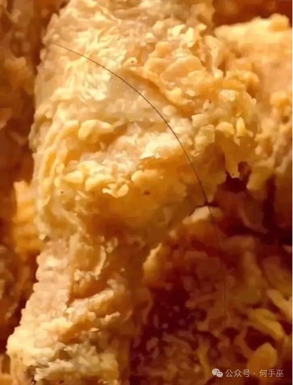 坏消息，食物里有根毛发； 好消息，是直的不是打卷儿的。 