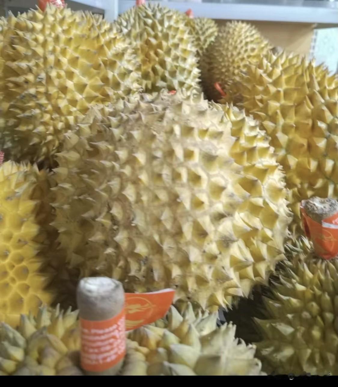 榴莲这玩意儿贵是有原因的。种植成本就不低，榴莲树要5 - 8年才结果，期间养护投