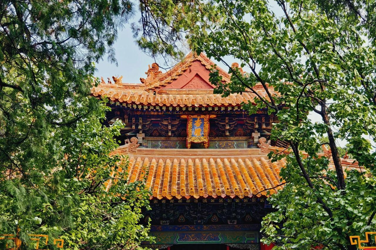 山东曲阜｜曲阜“三孔”

曲阜是孔子的故乡 是儒家文化的发源地

曲阜孔庙、孔林