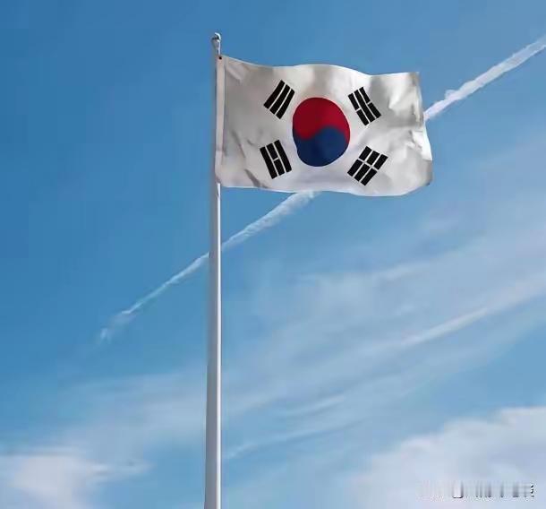 韩国也警惕起来了！
​韩国官方媒体突然曝出重磅消息，日本自卫队正在疯狂推进战备。