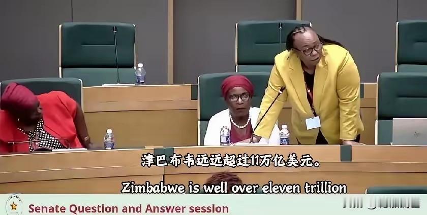 津巴布韦嫌咱们买锂矿给钱少，这事儿真得掰扯掰扯。矿是埋了不少，可它就是个石头疙瘩