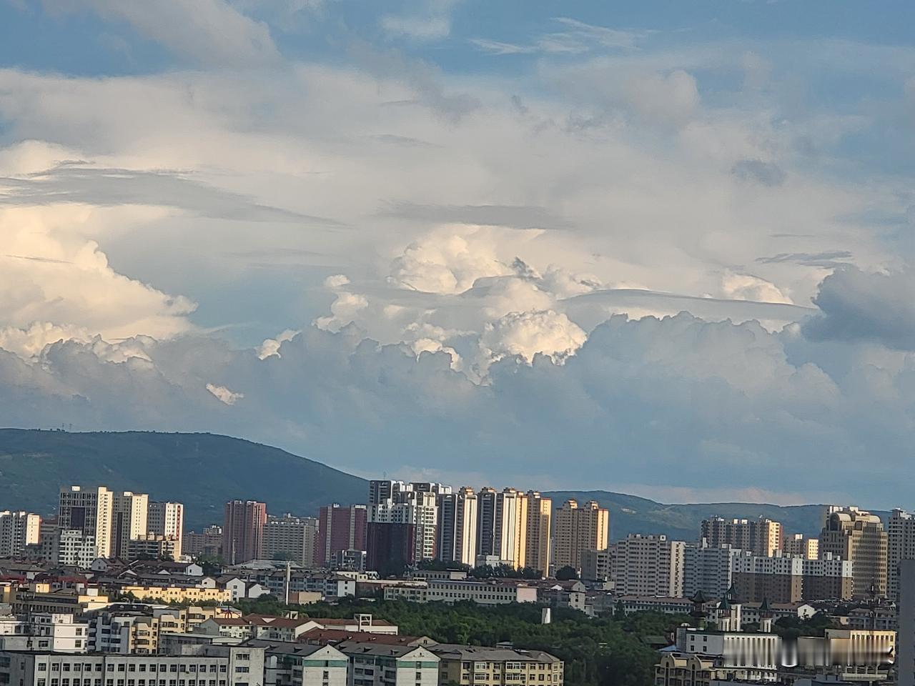 美丽天空，是大自然慷慨馈赠。夏日抬头望天，心情瞬间治愈。近处明黄色大波斯菊盛开，