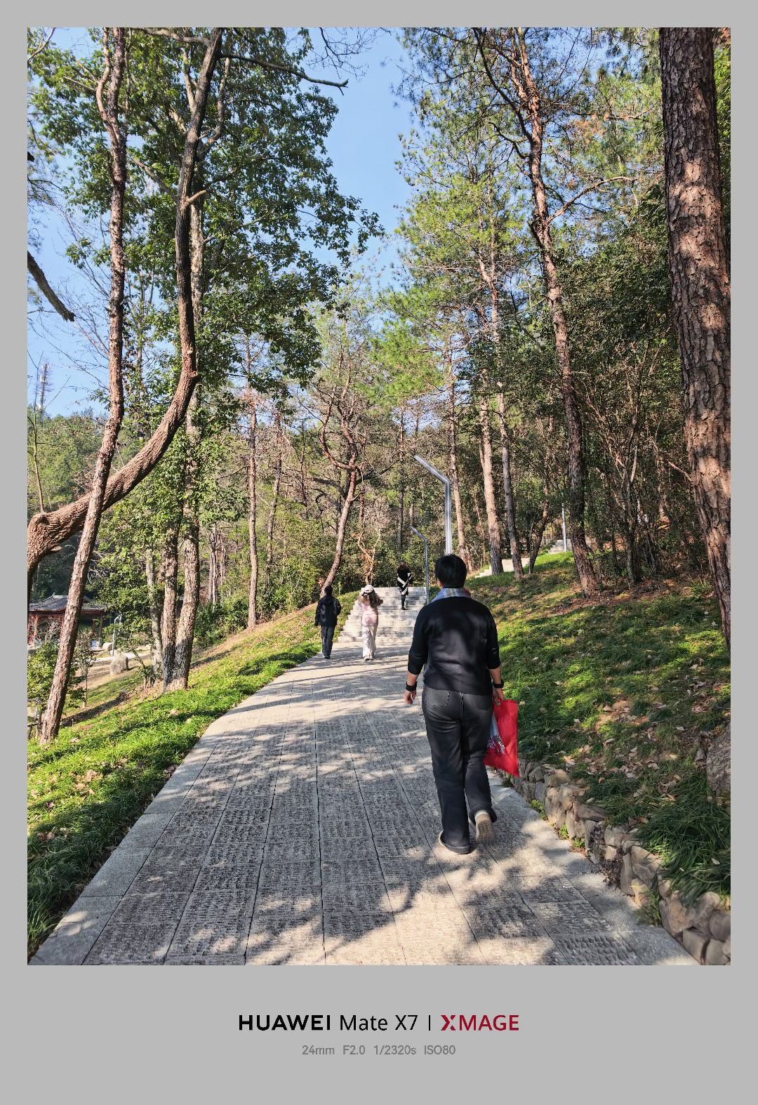 工作日组织大家徒步，也就我了吧