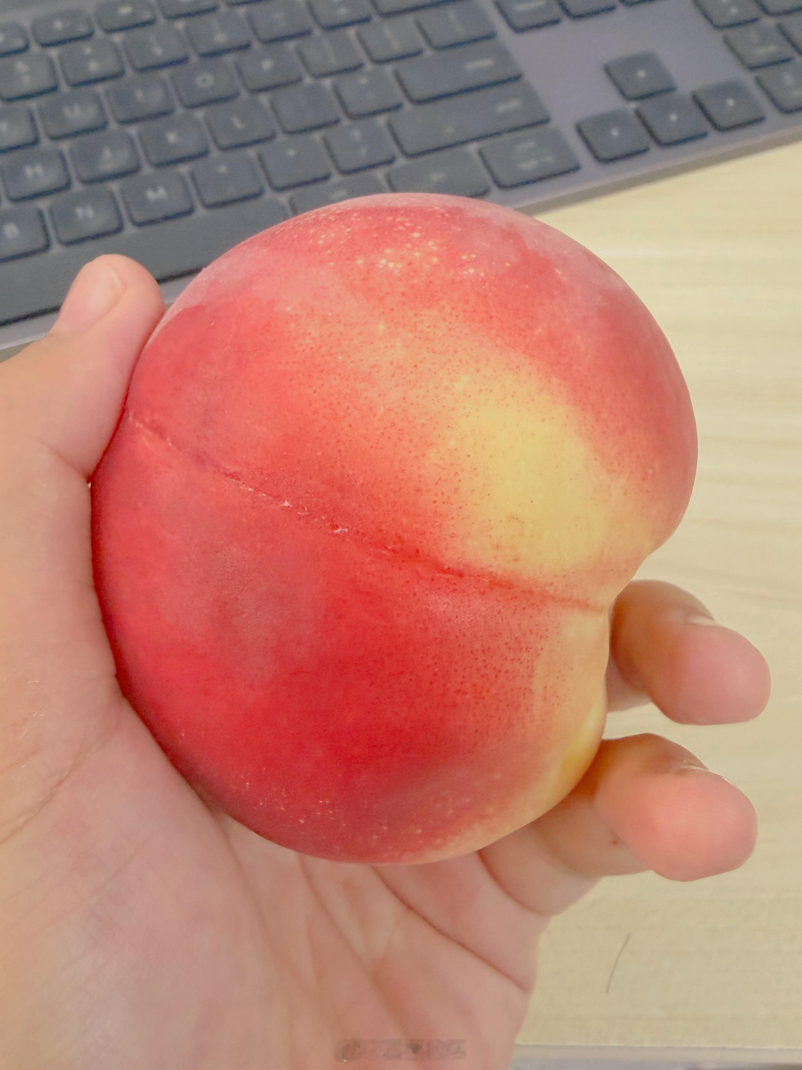 今日午餐一颗白凤桃，实在是太太太好吃了。 