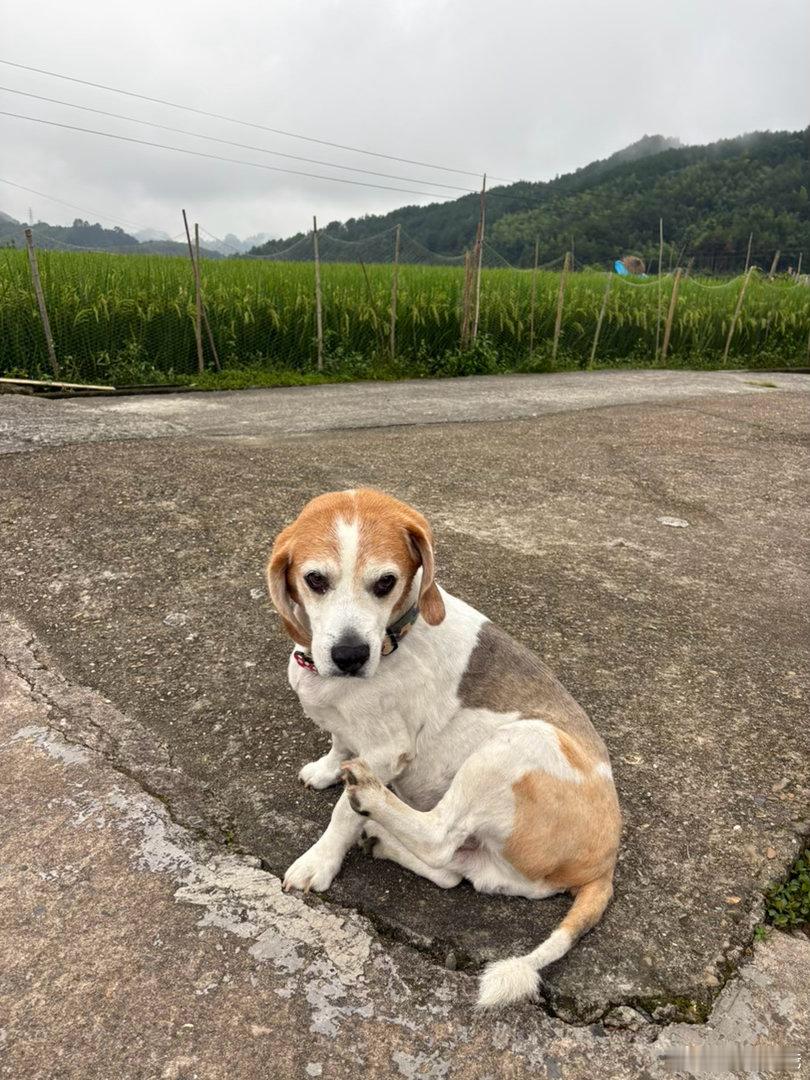 早上好 