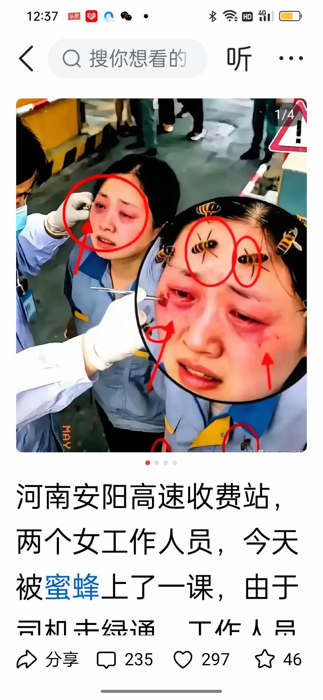 如此“认真”！
   一收费站的两个美女，在检查蜂蜜箱时，被蛰着啦。
  何必呢