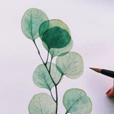 椰子花热聊科技