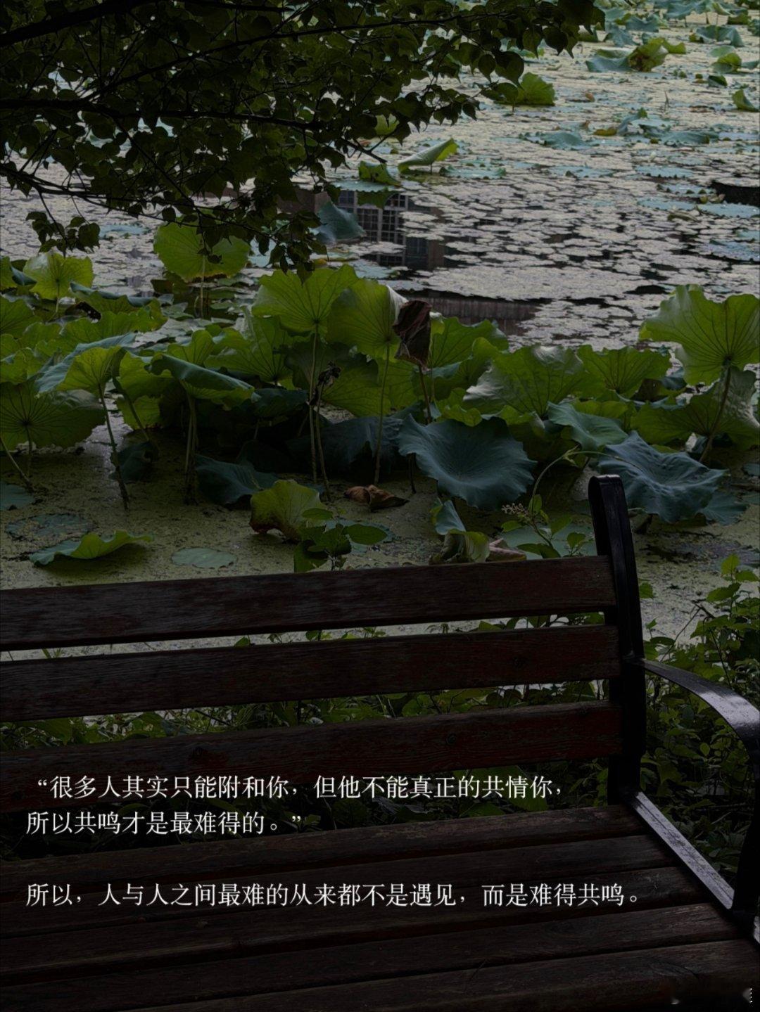 “所以人与人之间最难的从来都不是遇见” 