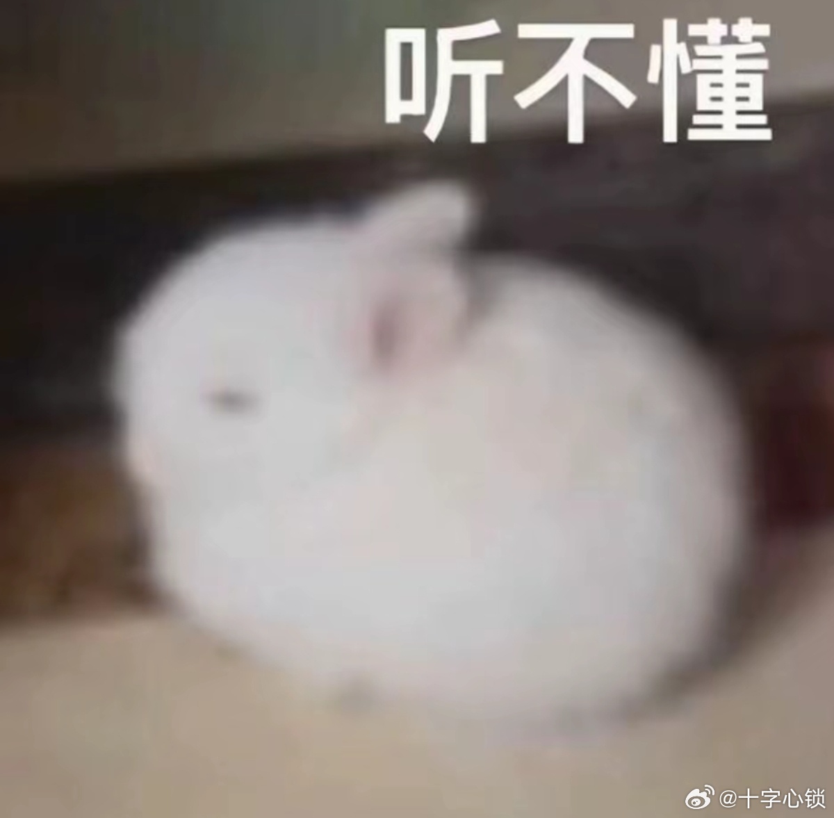 青春正能量，岁月蹉跎，不去珍惜，它只会荒废，一旦如拾珍宝般去爱它，它一定会给予你