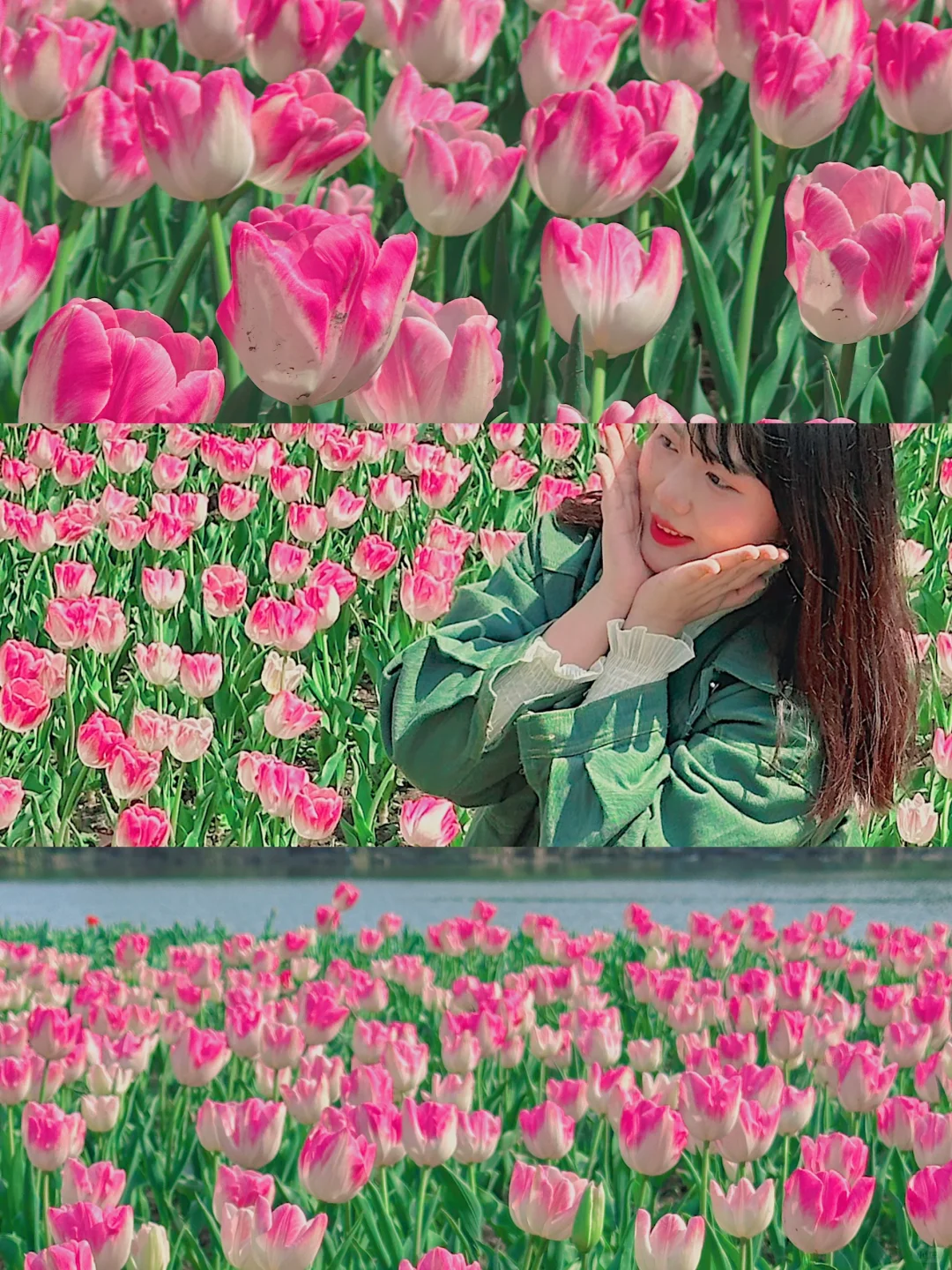 掉入郁金香花海🌷！上海你不宣传这里糊涂啊…