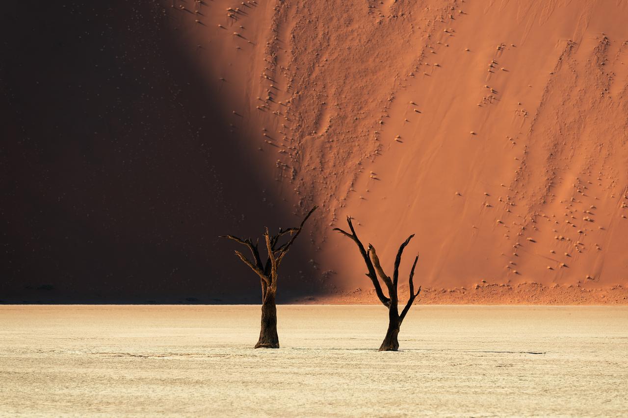 纳米比亚死亡谷（Deadvlei），我正好发现一颗被地面反光照亮的树背后是沙丘阴